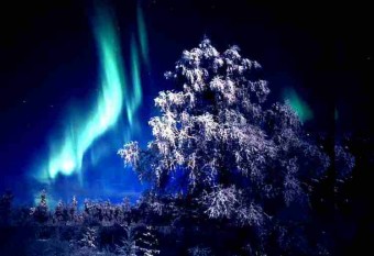 schamanisch reisen in der polarnacht mit aurora borealis